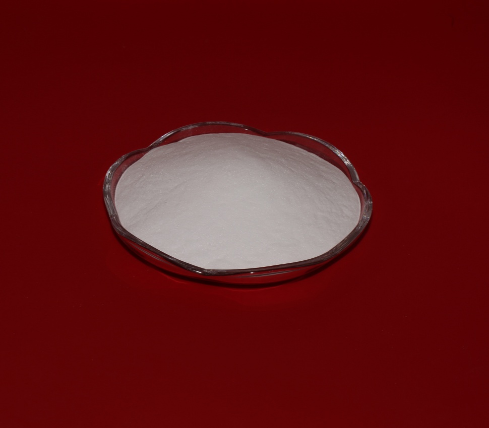 白刚玉在艺术品修复中的精湛技艺